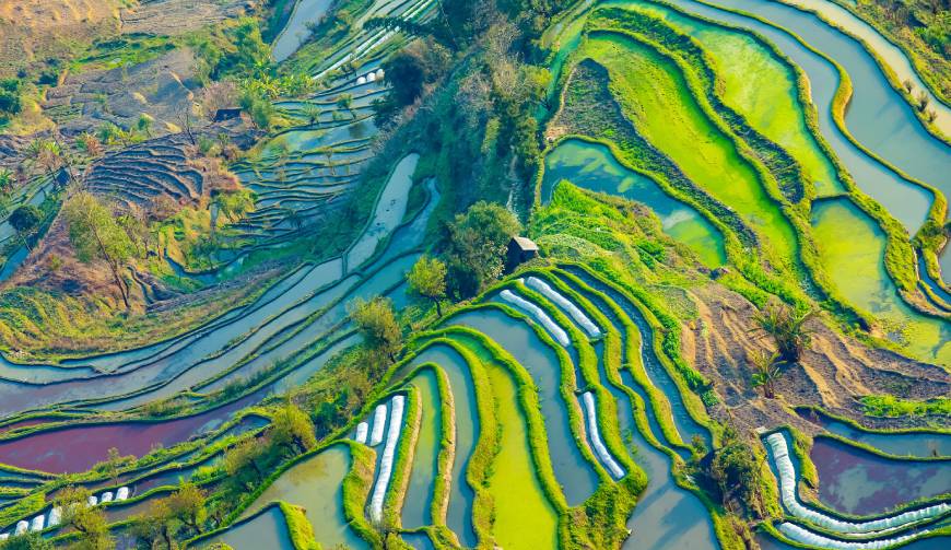 宝妈必备神器：铁山港区产品视频拍摄轻松育儿好帮手