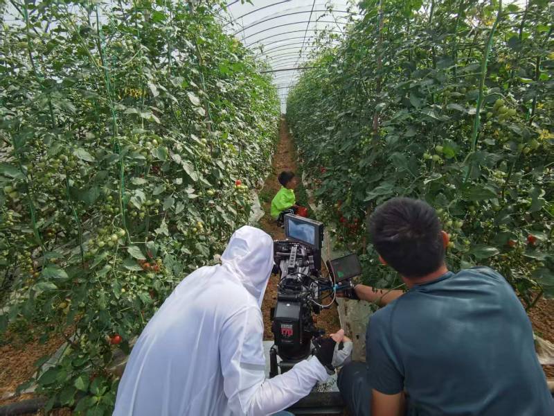 铁山港区产品宣传视频拍摄公司进阶指南，助力品牌抢占传播高地